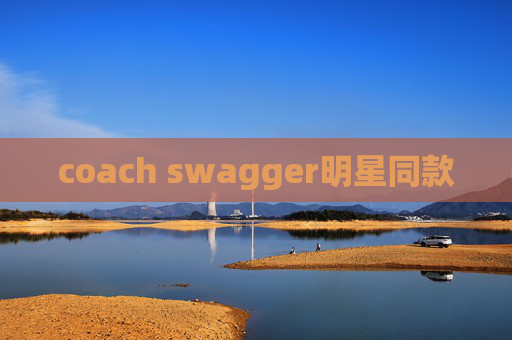 coach swagger明星同款